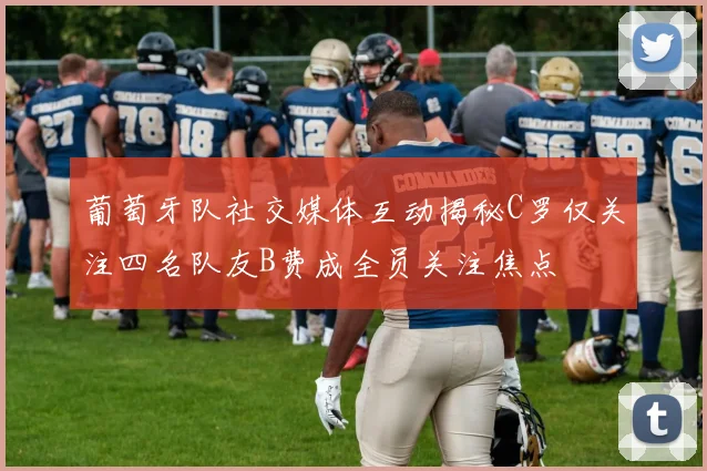 葡萄牙队社交媒体互动揭秘C罗仅关注四名队友B费成全员关注焦点