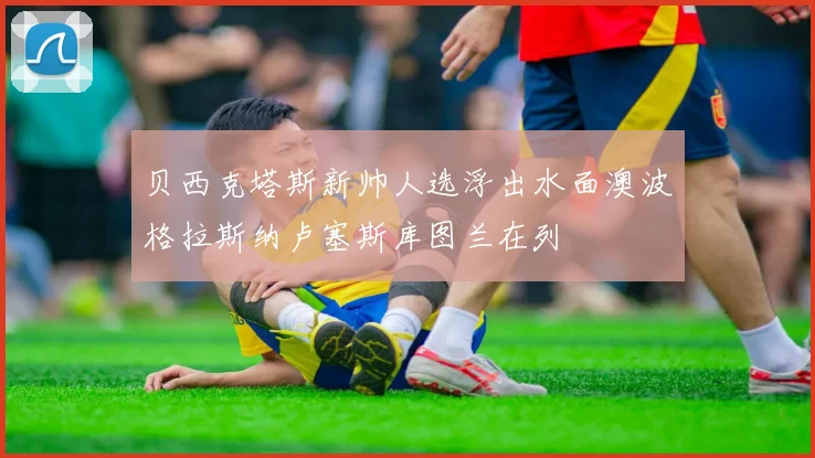 贝西克塔斯新帅人选浮出水面澳波格拉斯纳卢塞斯库图兰在列